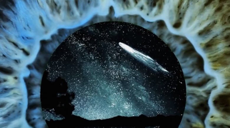 are comets source of life on earth