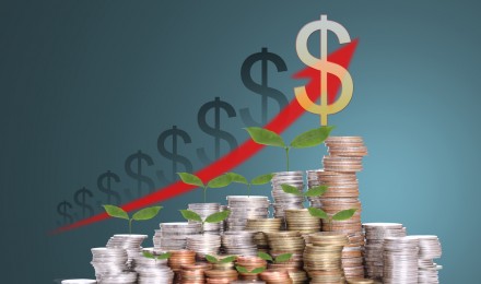 retirement boot camp